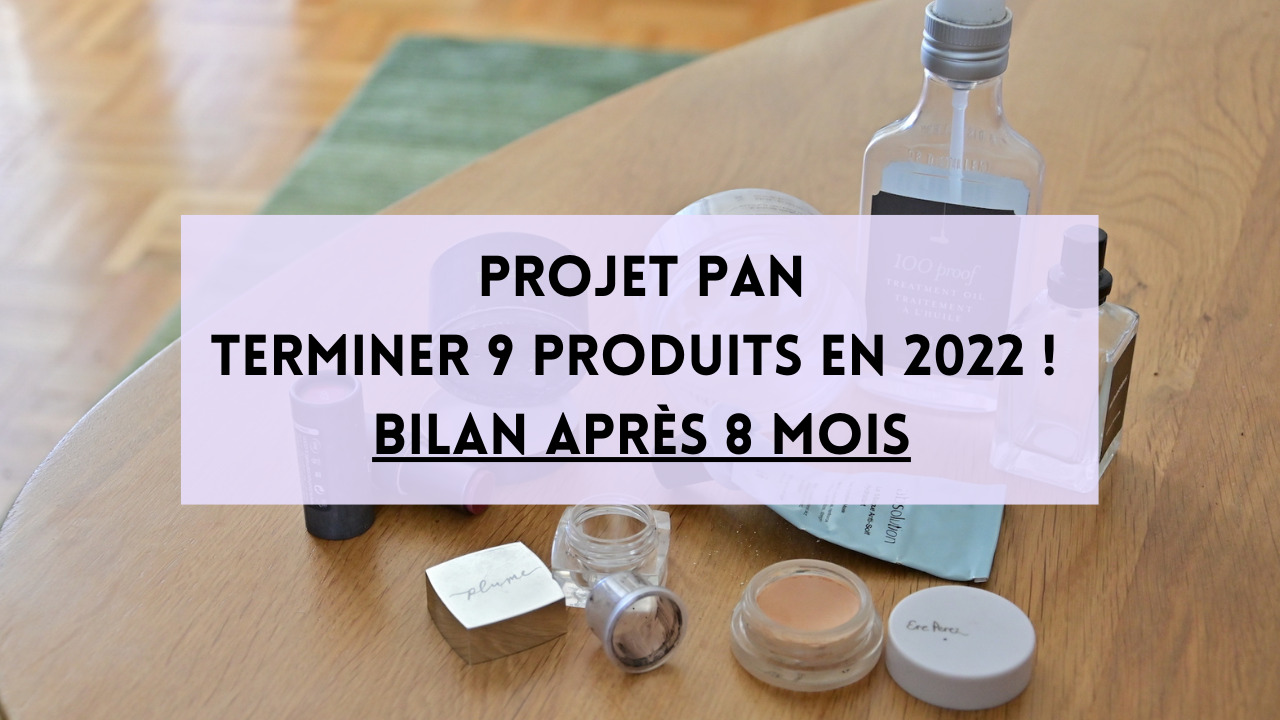 Projet PAN 2022 : 9 produits à terminer || Bilan après 8 mois + FIN ...